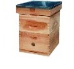 Langstroth beehive